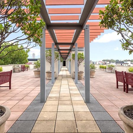 Nesuto Chippendale Aparthotel Sydney Exterior foto